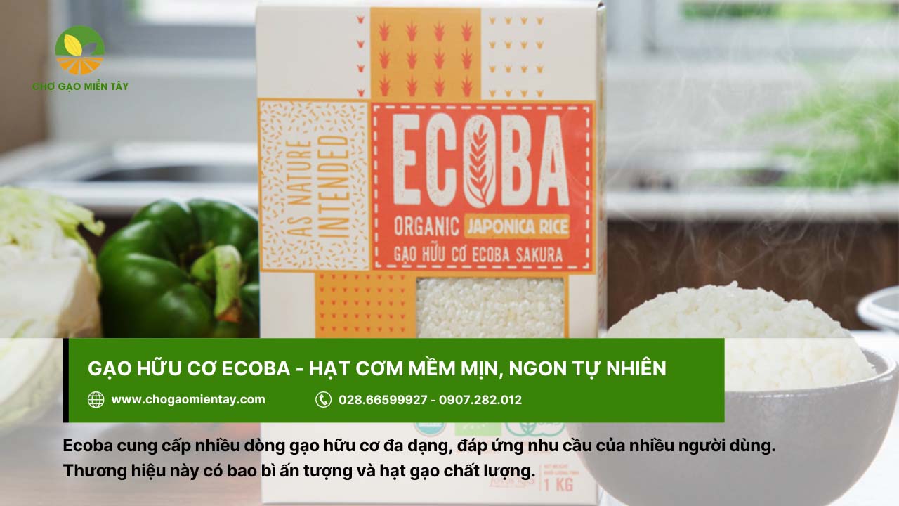 Gạo hữu cơ Ecoba cho hạt cơm mềm mịn, thơm ngon