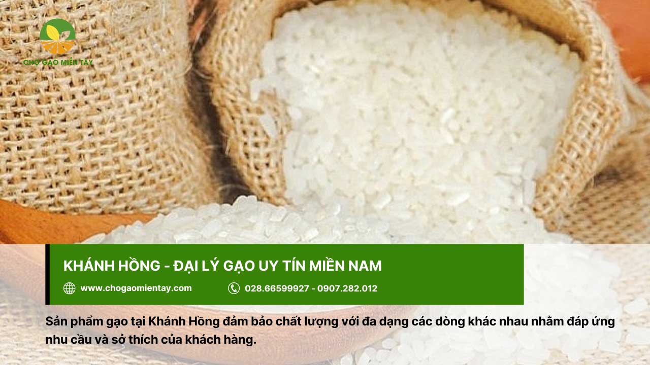 Nhiều sản phẩm gạo ở đại lý Khánh Hồng được khách hàng lựa chọn