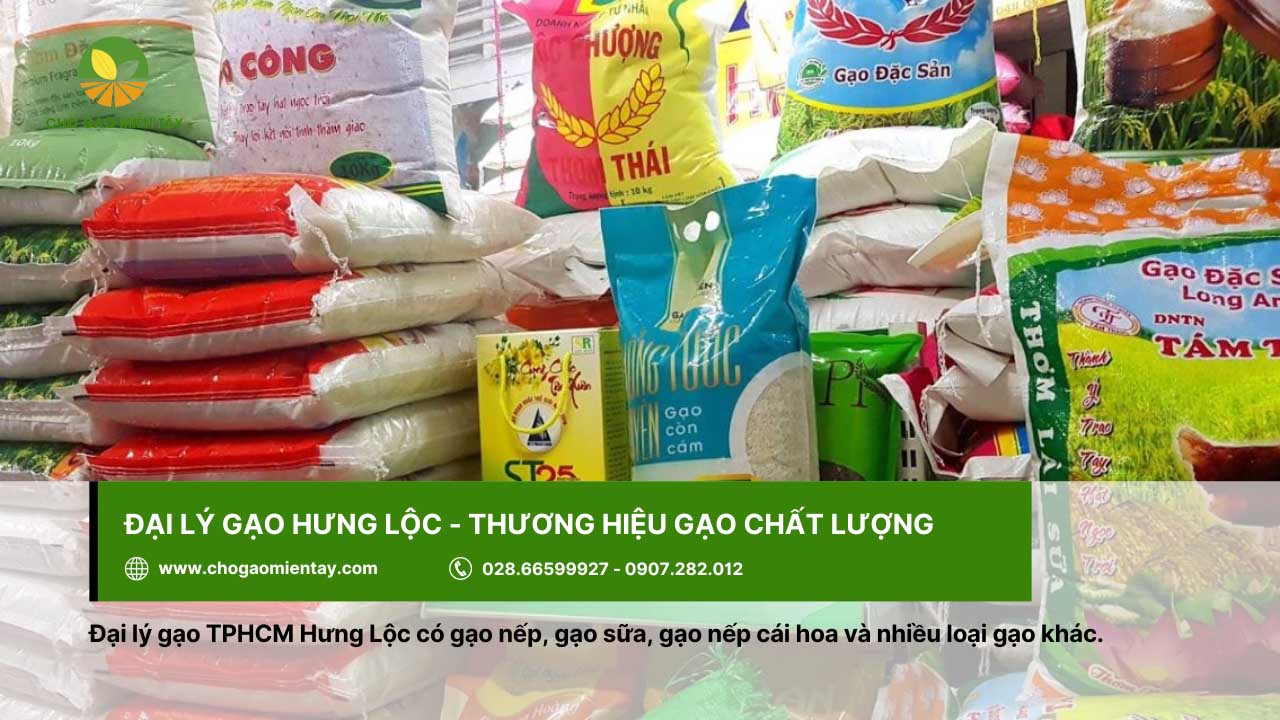 Đại lý gạo Hưng Lộc cung cấp nhiều loại gạo, đáp ứng mọi nhu cầu của khách hàng
