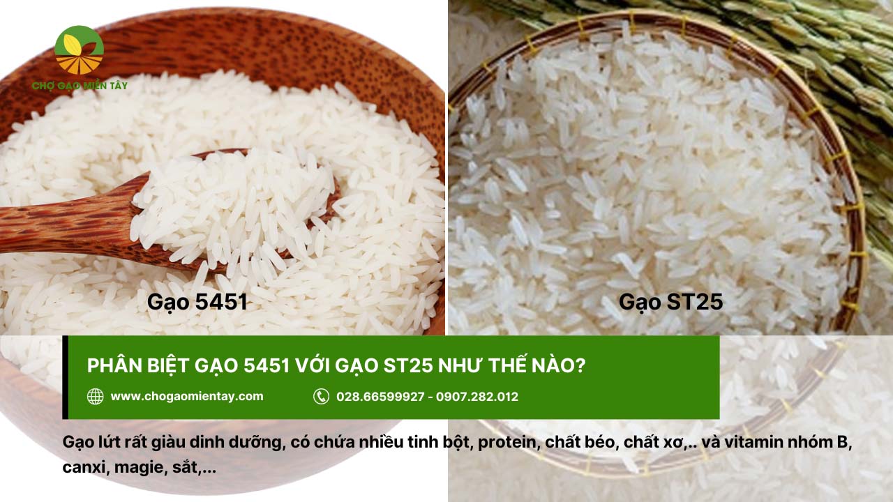 Có thể dễ dàng phân biệt gạo 5451 và gạo ST25 bằng mắt thường
