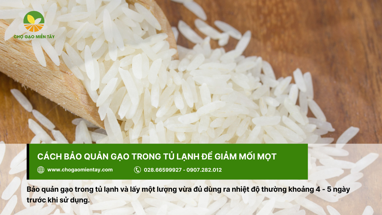 Bảo quản gạo trong tủ lạnh để đảm bảo chất lượng, tránh mối mọt hay côn trùng