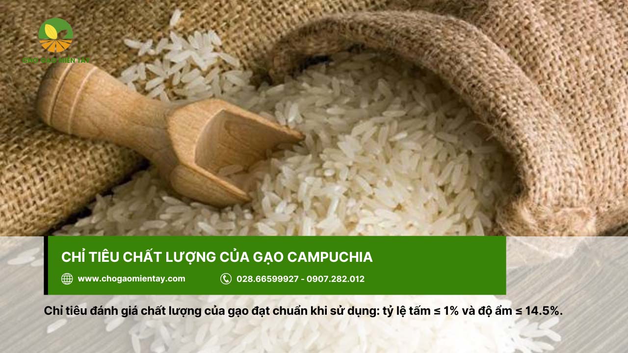 Chỉ tiêu chất lượng của gạo Campuchia dựa trên độ ẩm và tỷ lệ tấm