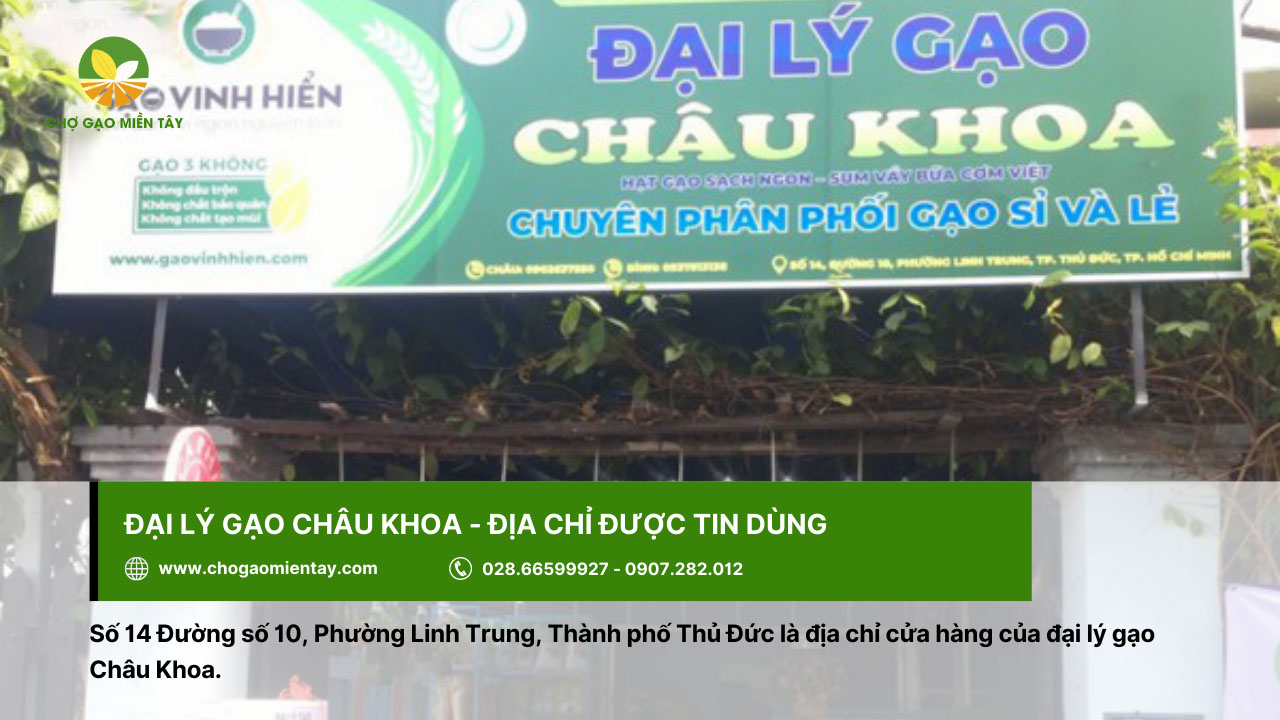 Đại lý gạo Châu Khoa được tin dùng ở Sài Gòn