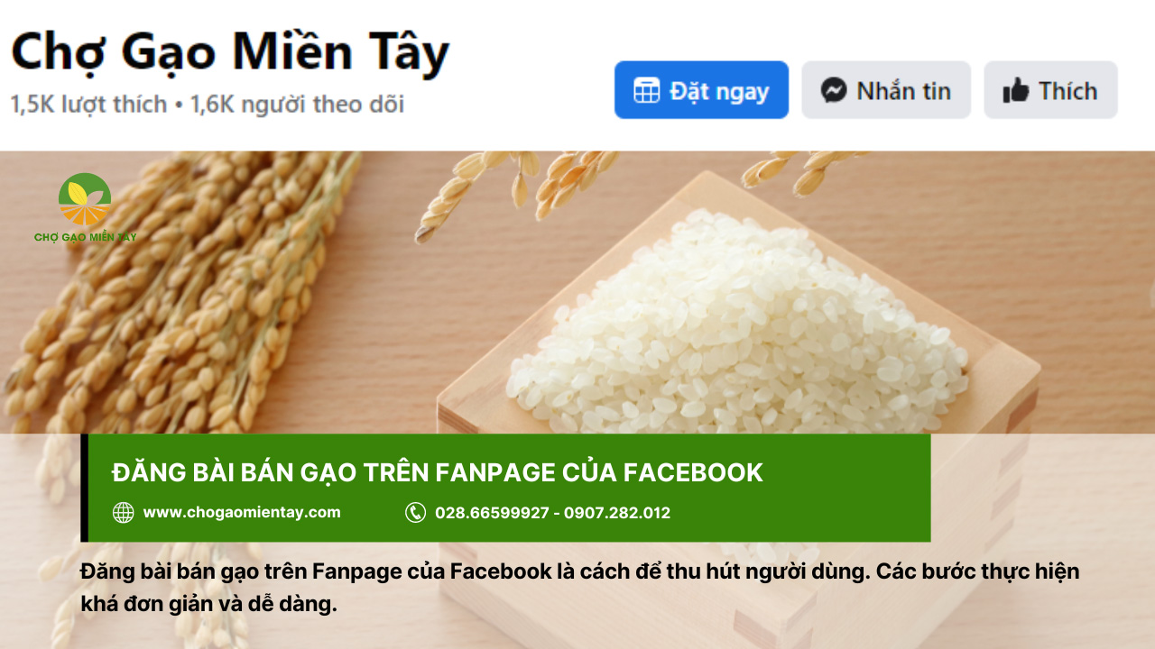 Đăng bài bán gạo trên Fanpage