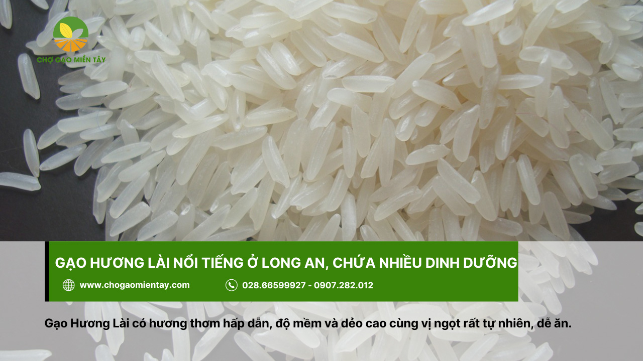 Gạo Hương Lài chứa hàm lượng dinh dưỡng cao