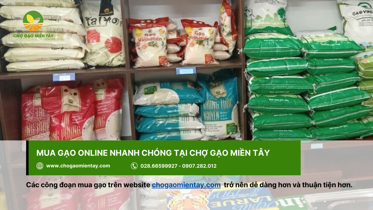 Mua gạo trực tuyến tại website của Chợ Gạo Miền Tây - chogaomientay.com