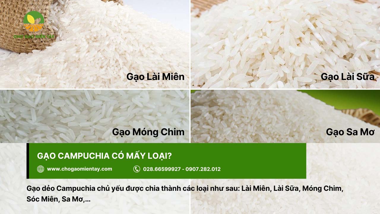 Có nhiều loại gạo Campuchia trên thị trường hiện nay