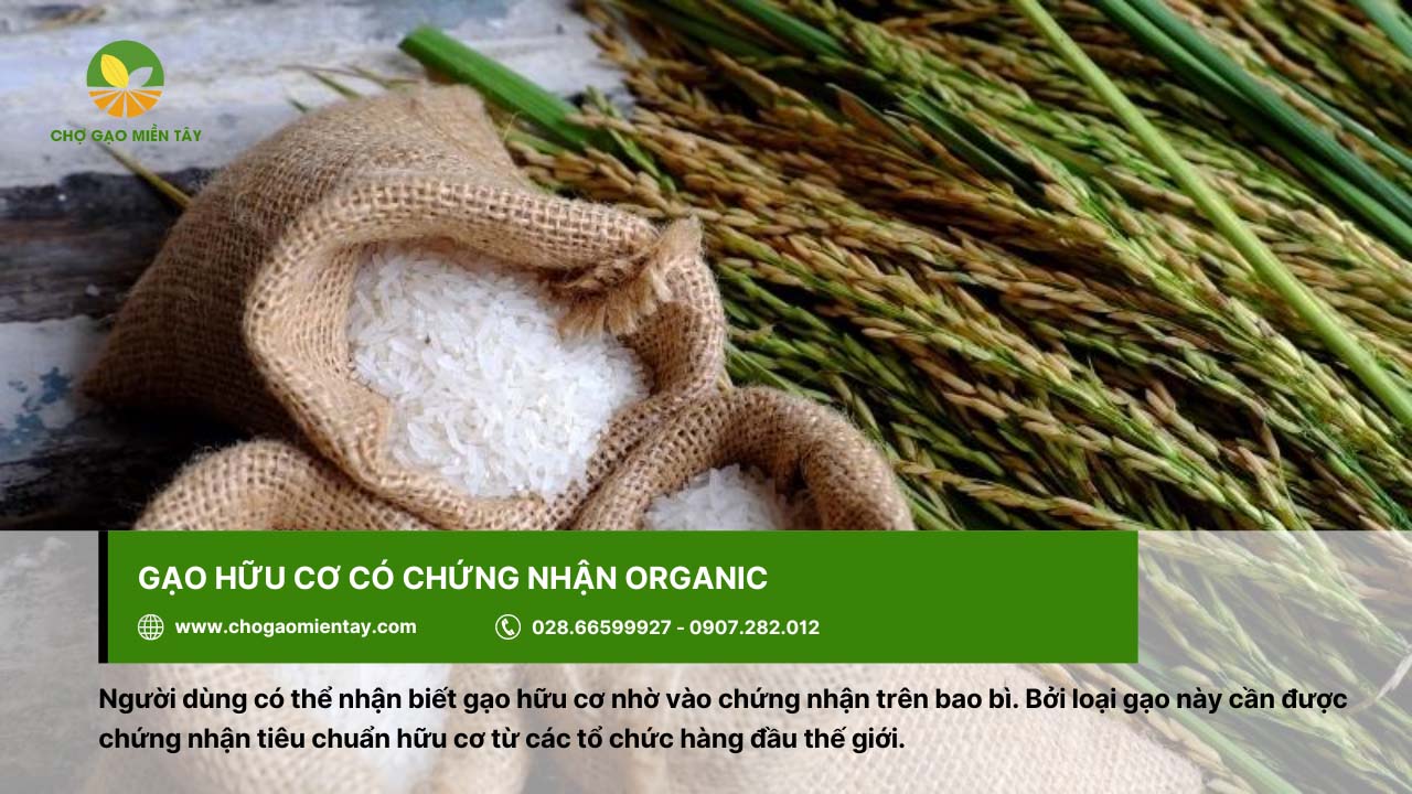 Gạo hữu cơ là gạo có chứng nhận Organic từ các tổ chức uy tín