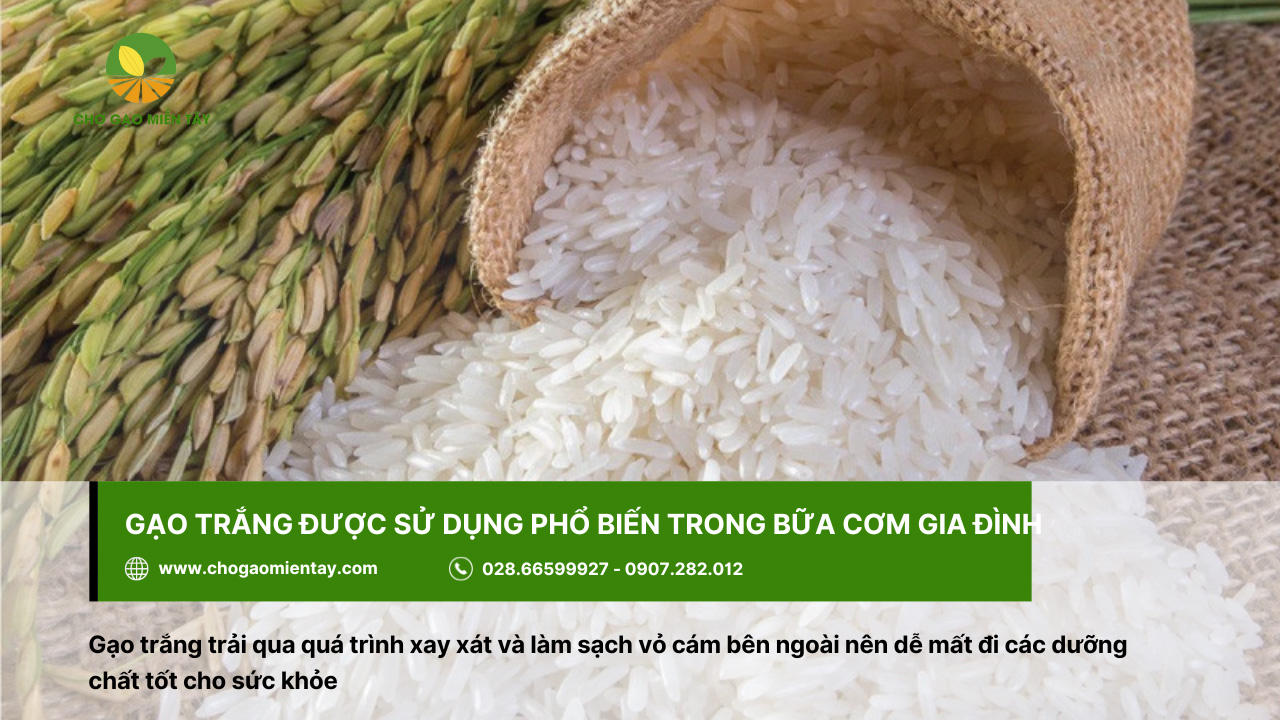 Gạo trắng được sử dụng phổ biến trong bữa cơm gia đình