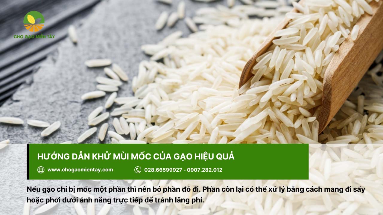 Có thể mang gạo chưa bị mốc nghiêm trọng đi phơi hoặc sấy để khử mùi