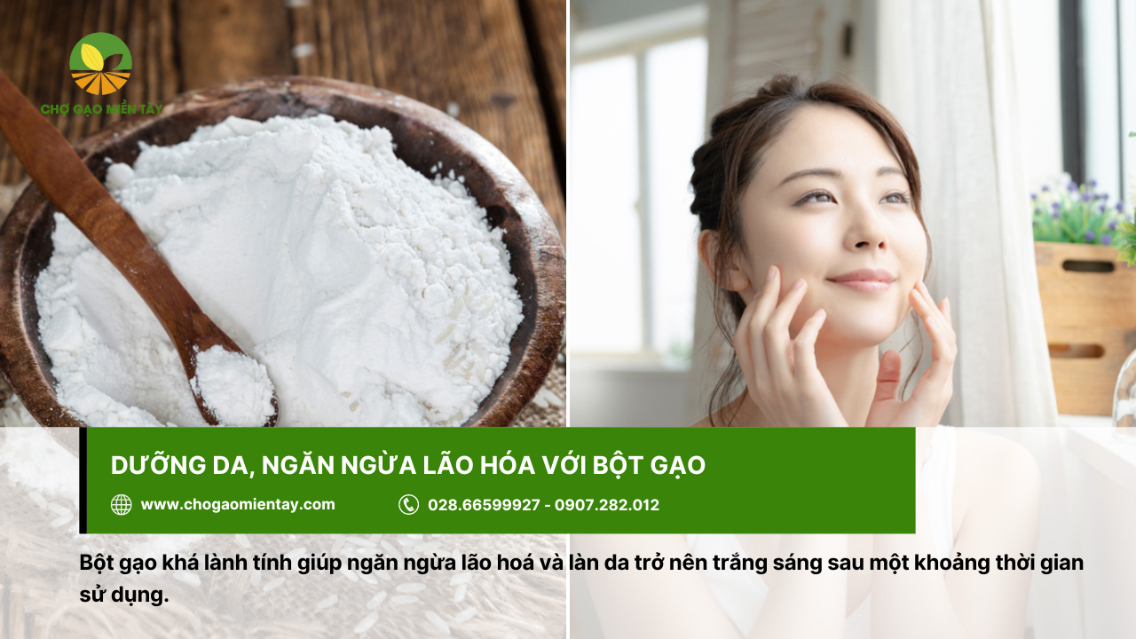 Sử dụng bột gạo để dưỡng da giúp ngừa lão hóa da hiệu quả