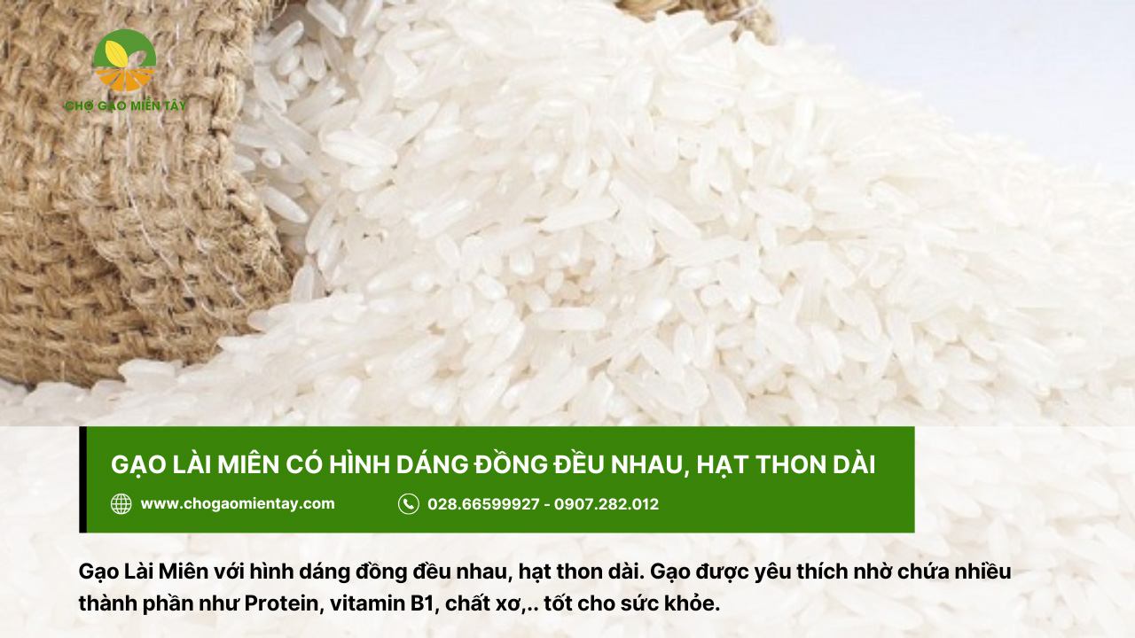 Gạo Lài Miên có hạt thon dài