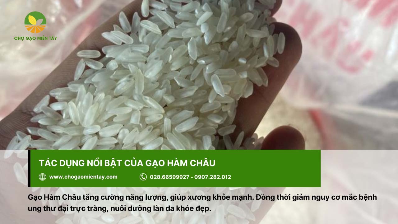 Gạo Hàm Châu giúp tăng cường năng lượng tốt cho cơ thể