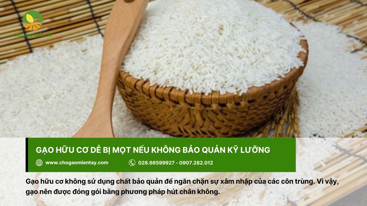Cần bảo quản kỹ gạo hữu cơ để tránh mọt xâm nhập