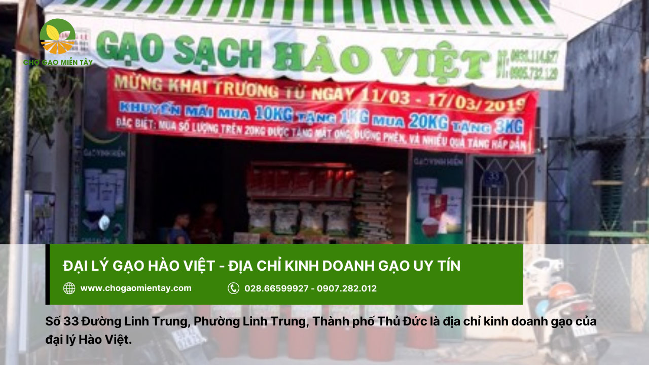 Hào Việt là địa chỉ kinh doanh gạo uy tín