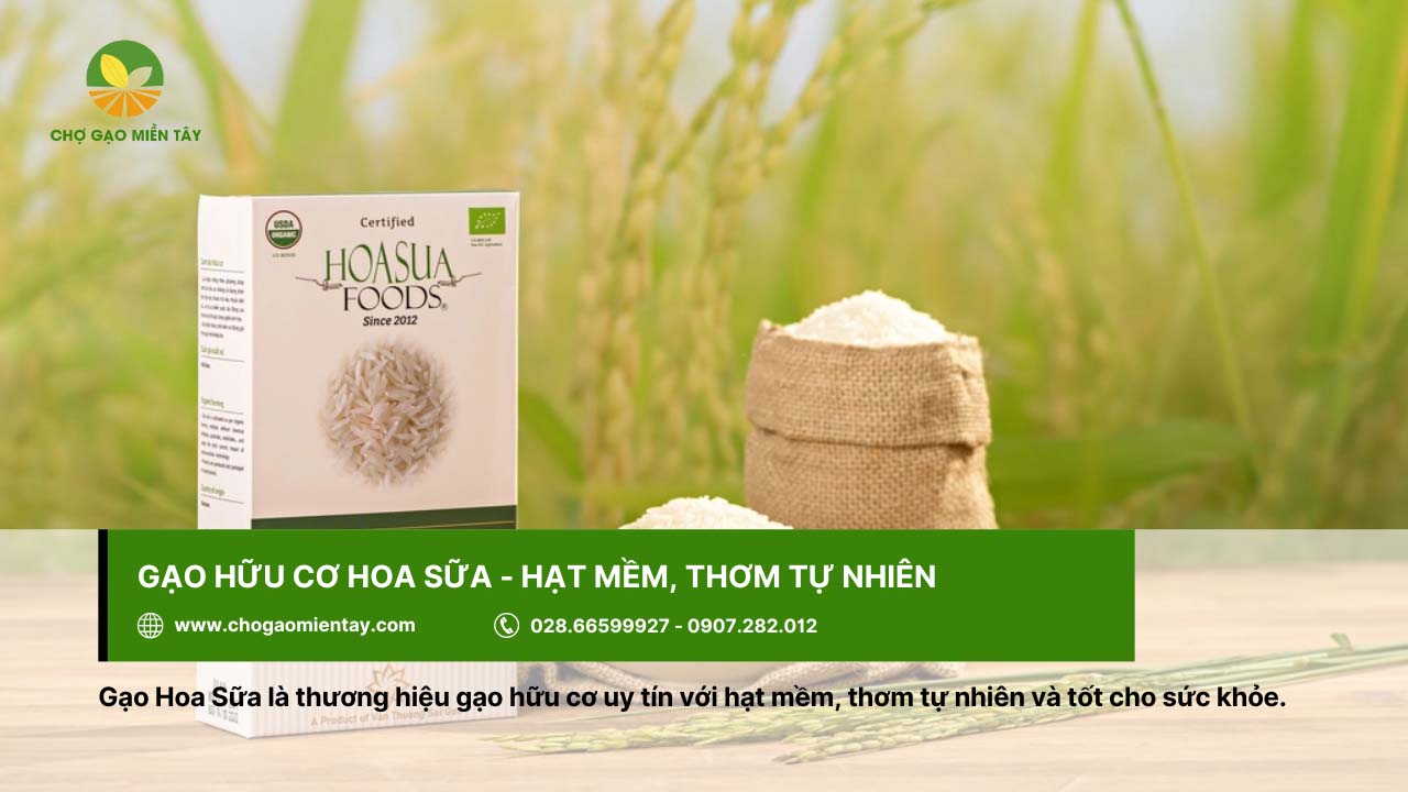 Gạo hữu cơ Hoa Sữa tốt cho sức khỏe người dùng