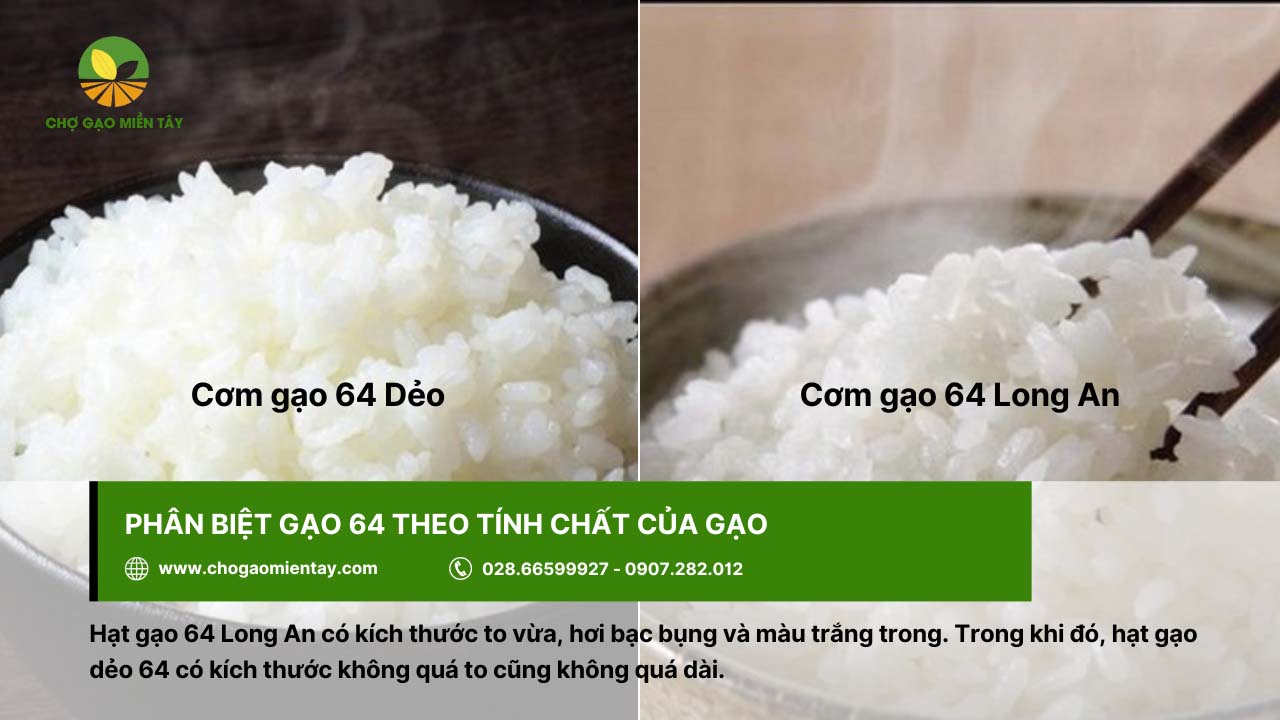 Phân biệt gạo 64 dẻo và 64 Long An dựa trên tính chất của gạo