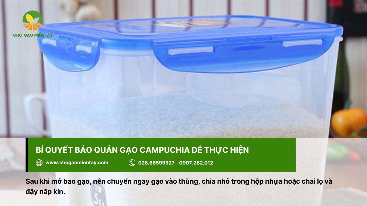 Bảo quản gạo Campuchia vào hộp nhựa là phương pháp tối ưu