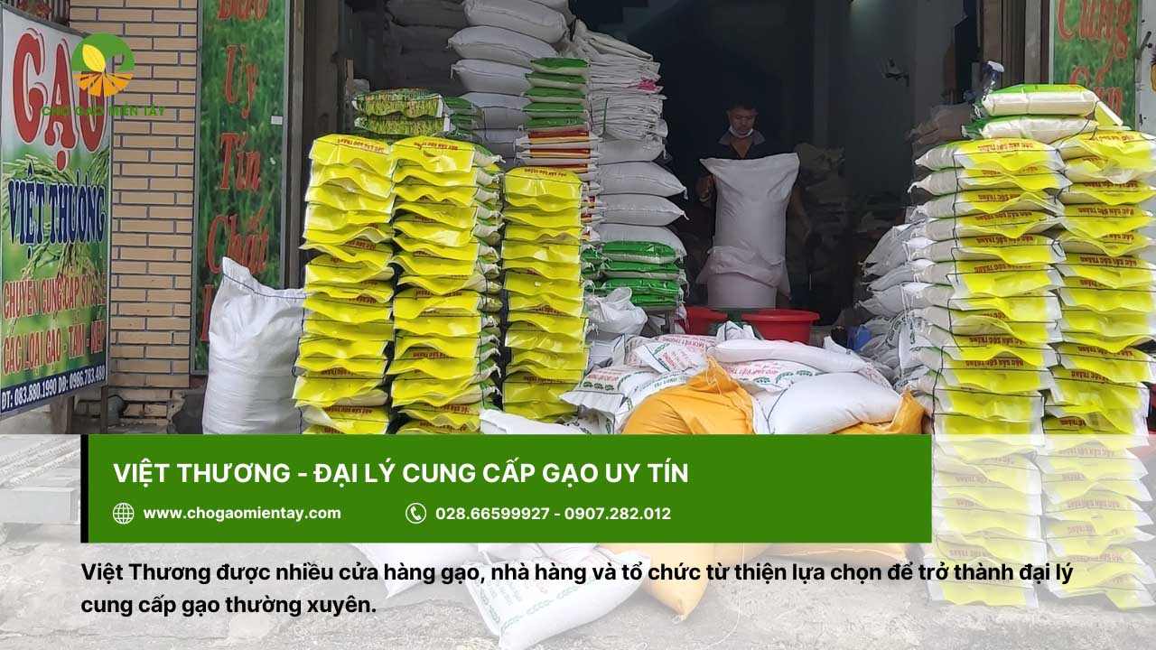 Việt Thương cung cấp đầy đủ các loại gạo thơm, mềm dẻo