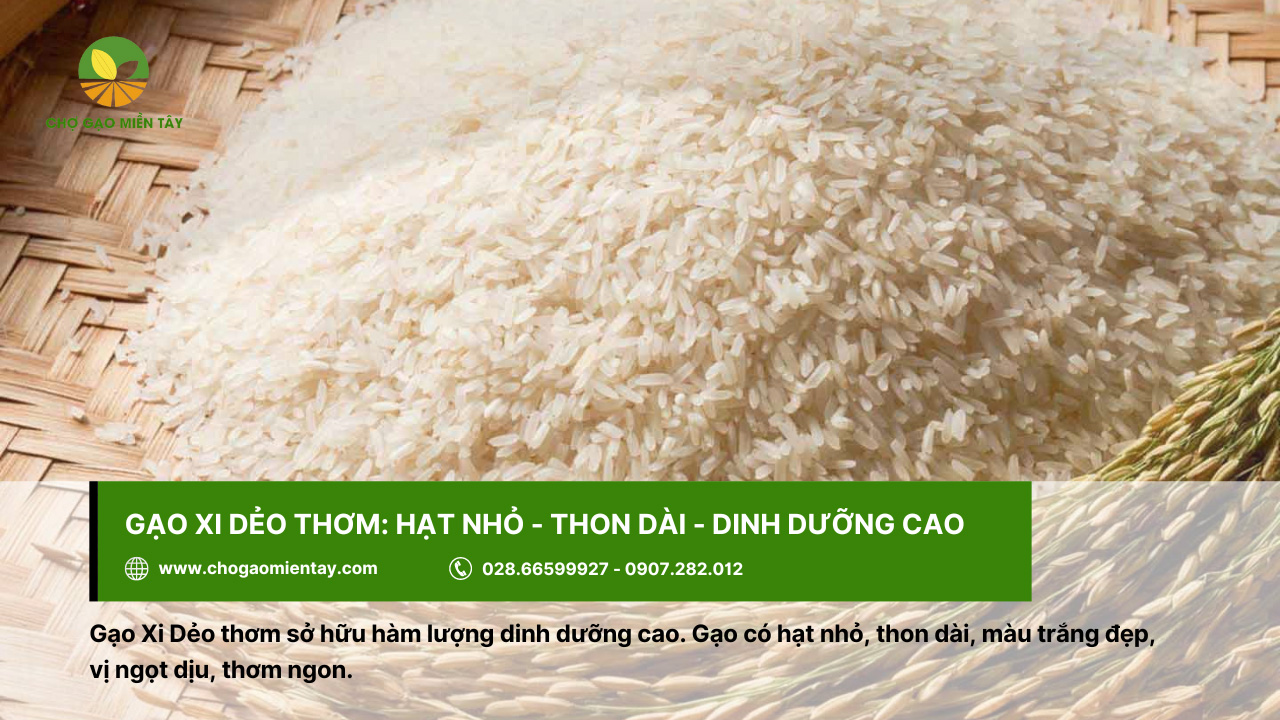 Gạo Xi Dẻo thơm được nhiều gia đình ưa chuộng