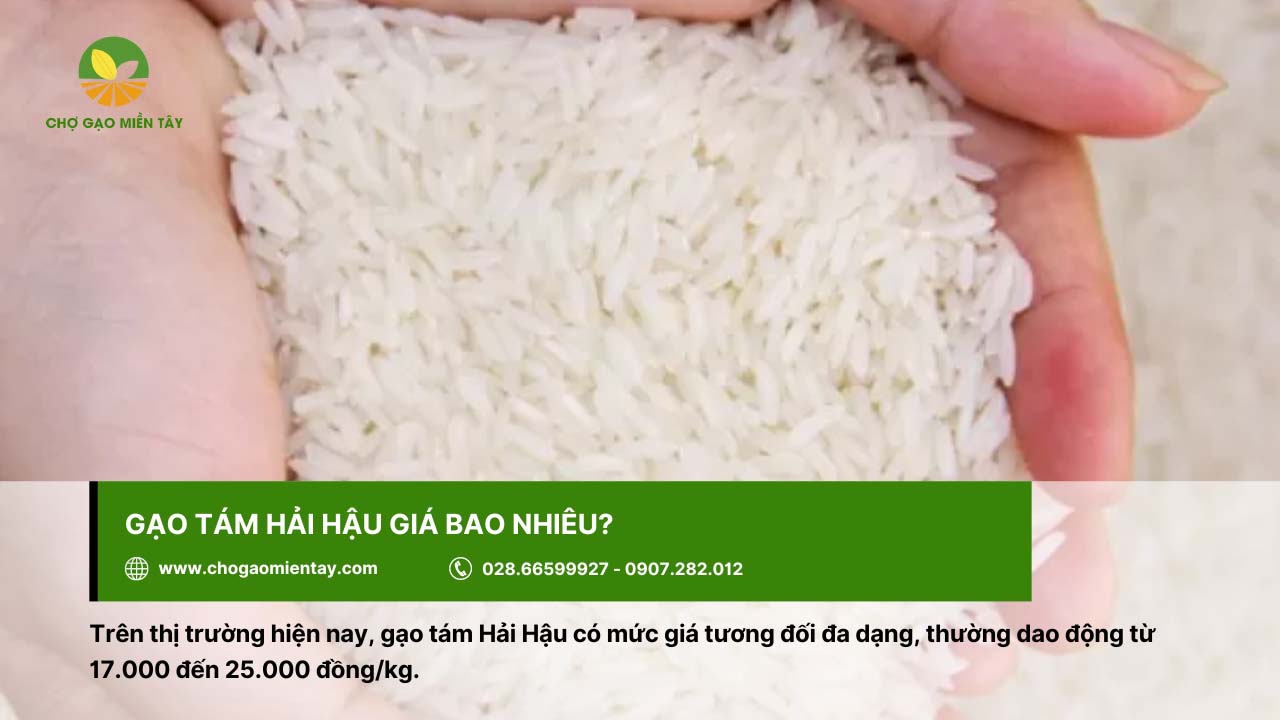 Giá của gạo tám Hải Hậu khoảng 17.000 - 25.000 đồng/kg