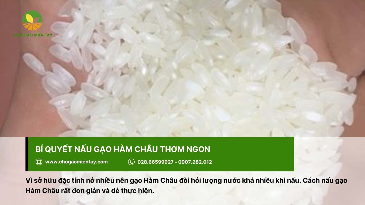 Nấu cơm từ gạo Hàm Châu với các bước đơn giản