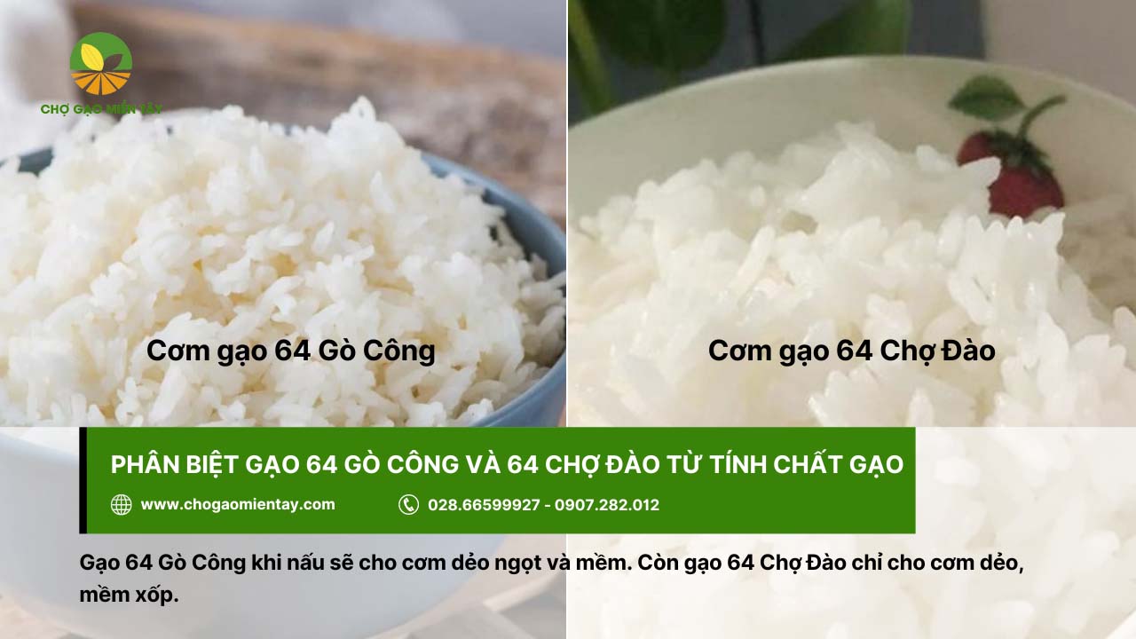 Phân biệt gạo 64 Gò Công và gạo 64 Chợ Đào từ tính chất của gạo