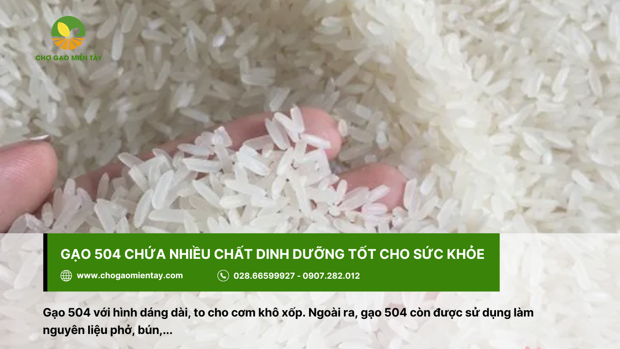 Gạo 504 cho cơm khô, xốp và nở