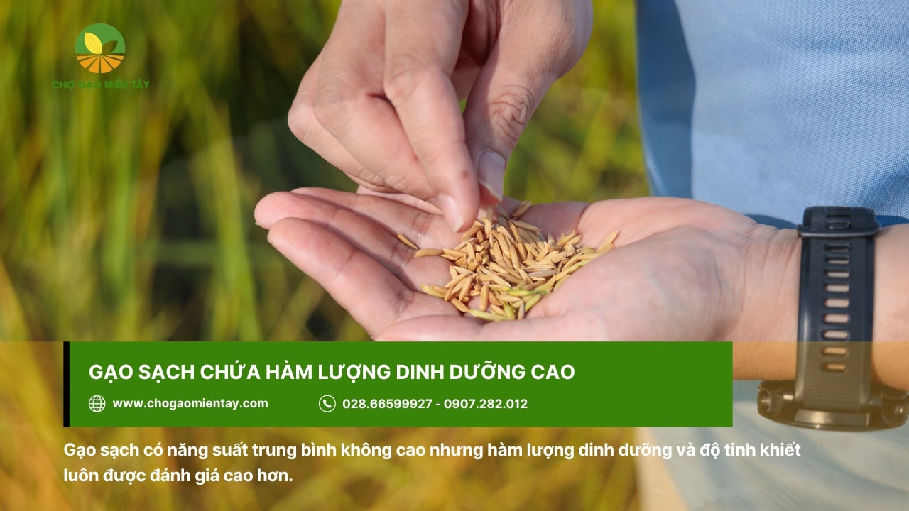 Gạo Vinh Hiển cam kết chất lượng hạt gạo với tiêu chí ba không: Không đấu trộn, Không chất bảo quản, Không chất tẩy trắng, tạo mùi.
