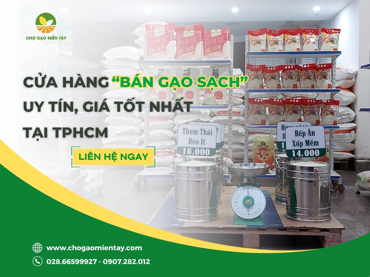 Cửa hàng bán gạo sạch gần đây uy tín giá tốt tại TPHCM