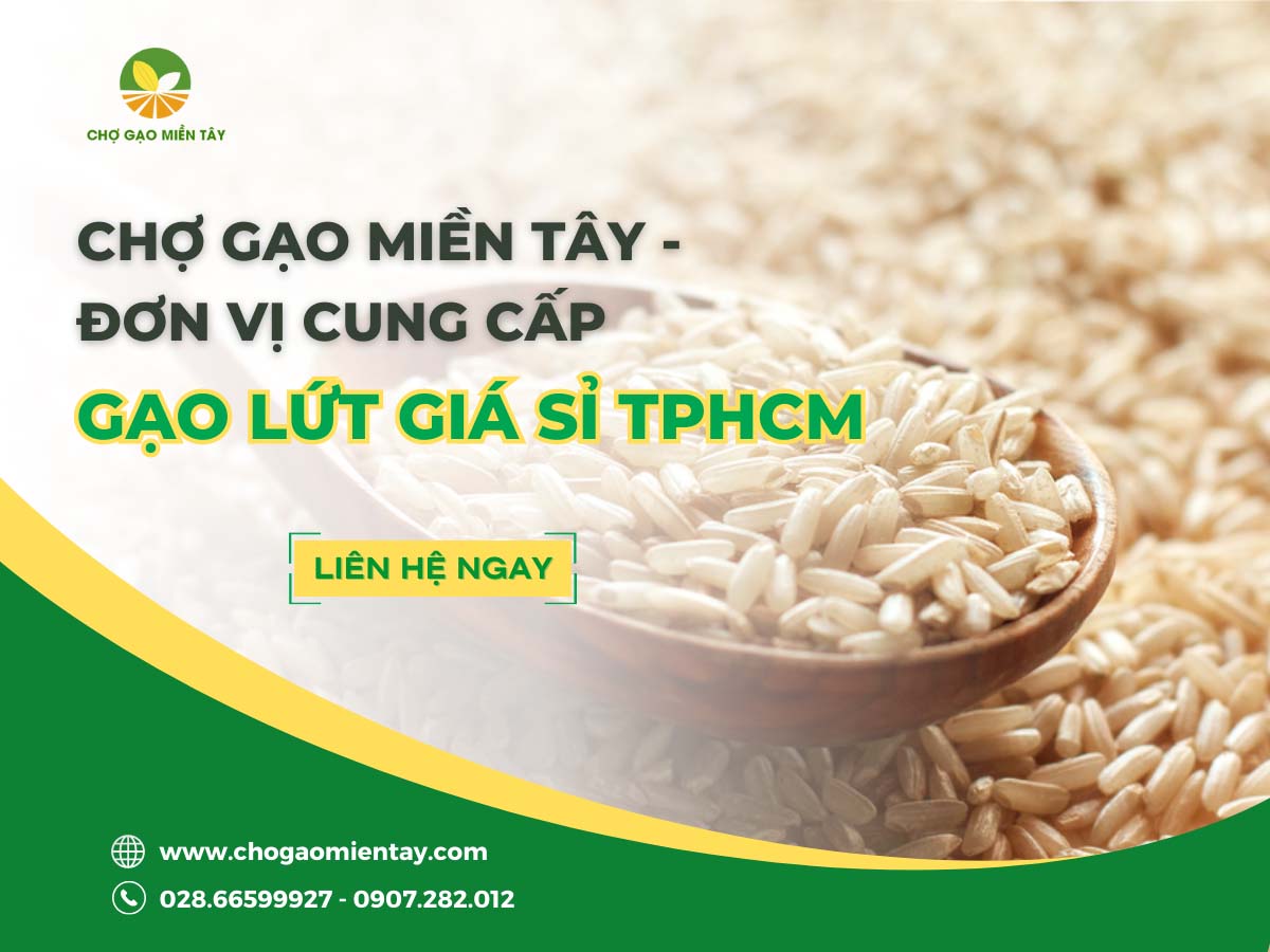 Chợ Gạo Miền Tây - Đơn vị cung cấp gạo lứt giá sỉ TPHCM
