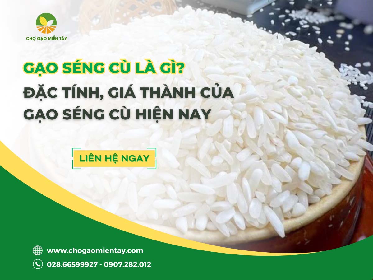 Gạo Séng Cù là gì? Đặc tính, giá thành của gạo Séng Cù hiện nay