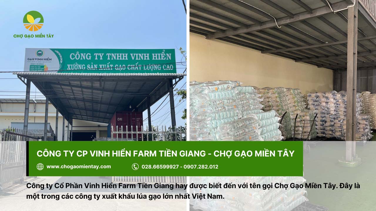 Vinh Hiển Farm - Chợ Gạo Miền Tây cung cấp gạo xuất khẩu lớn nhất Việt Nam