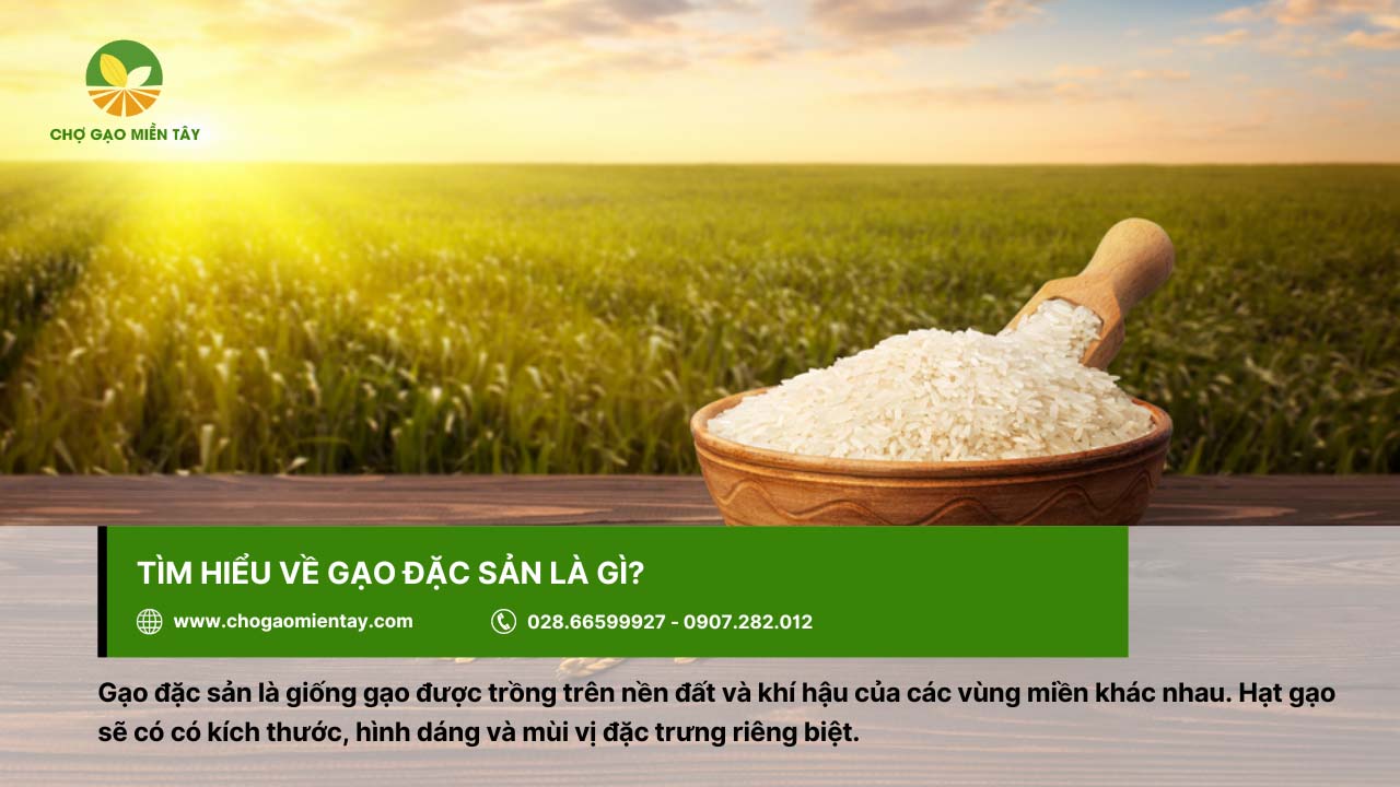 Từng loại gạo đặc sản sẽ có kích thước, hình dáng khác biệt