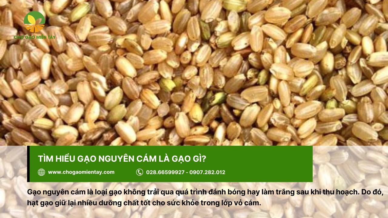 Gạo nguyên cám không trải qua quá trình đánh bóng sau thu hoạch