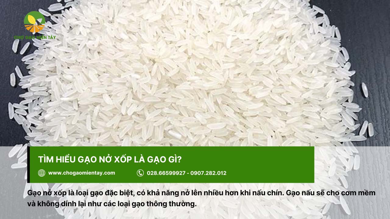 Gạo nở xốp cho cơm mềm và không dính