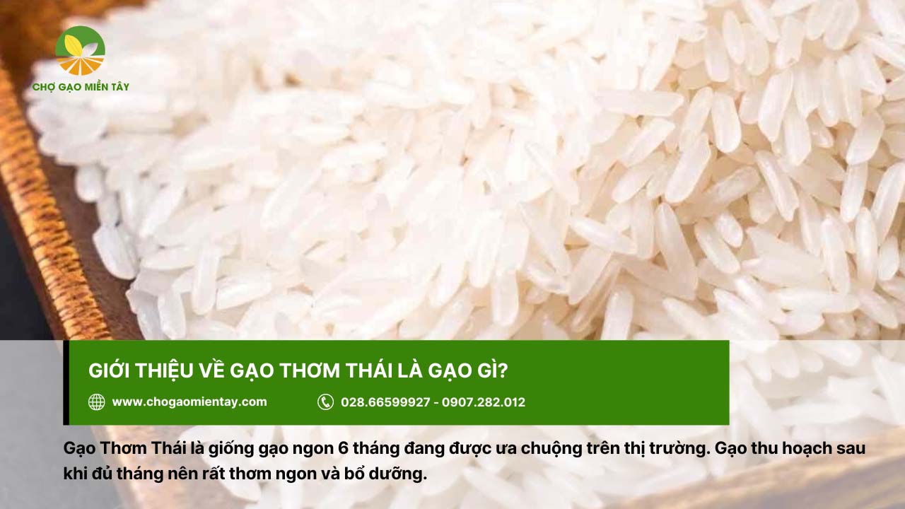 Gạo Thơm Thái rất được người tiêu dùng ưa chuộng