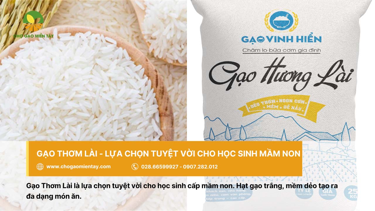 Gạo Thơm Lài thích hợp sử dụng ở các trường mầm non