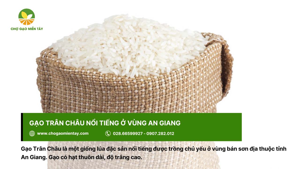 Gạo Trân Châu là loại gạo nổi tiếng ở vùng đất An Giang