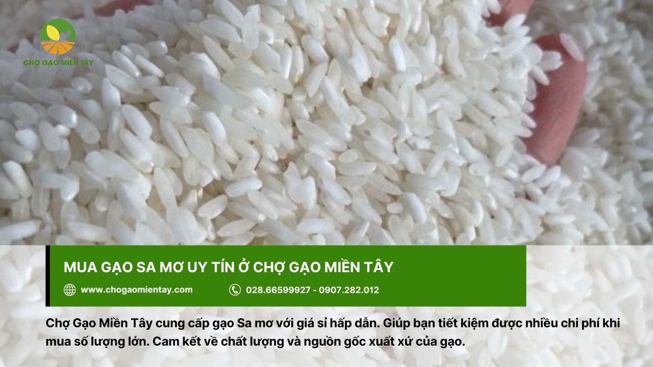 Chợ Gạo Miền Tây cung cấp gạo Sa mơ ngon