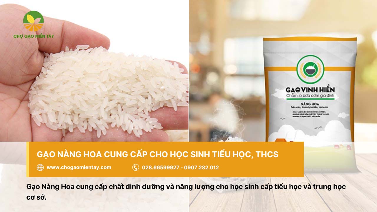 Gạo Nàng Hoa cung cấp đủ dưỡng chất cho học sinh tiểu học và THCS