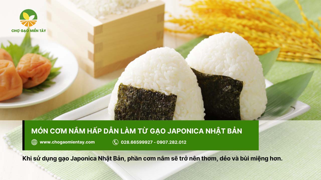 Gạo Japonica Nhật, nguyên liệu làm món cơm nắm dinh dưỡng