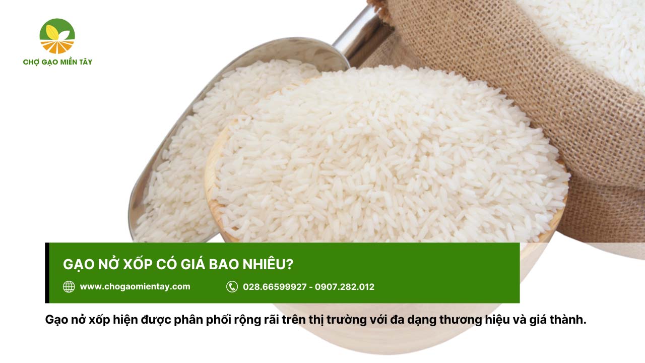 Giá gạo nở xốp trên thị trường phụ thuộc vào nhà cung cấp