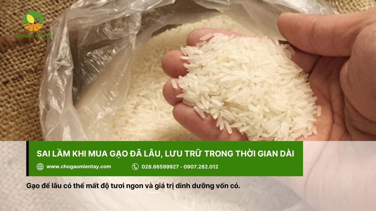 Nên mua gạo mới, các loại gạo đã lâu sẽ dễ mất đi giá trị dinh dưỡng