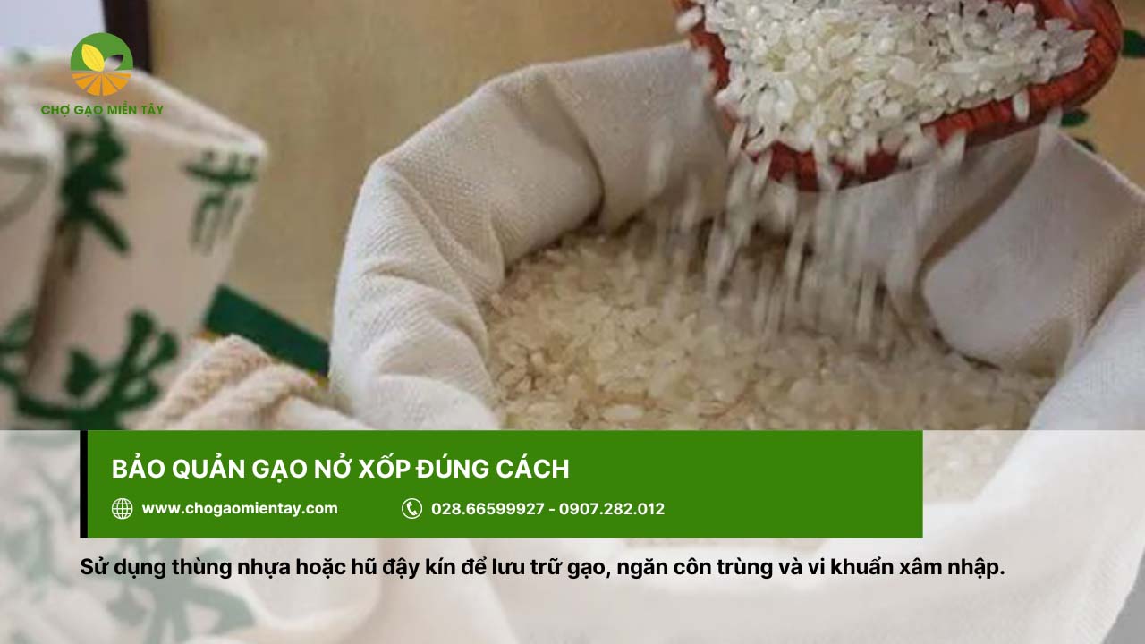 Nên bảo quản gạo nở xốp trong bao hoặc thùng nhựa đậy kín