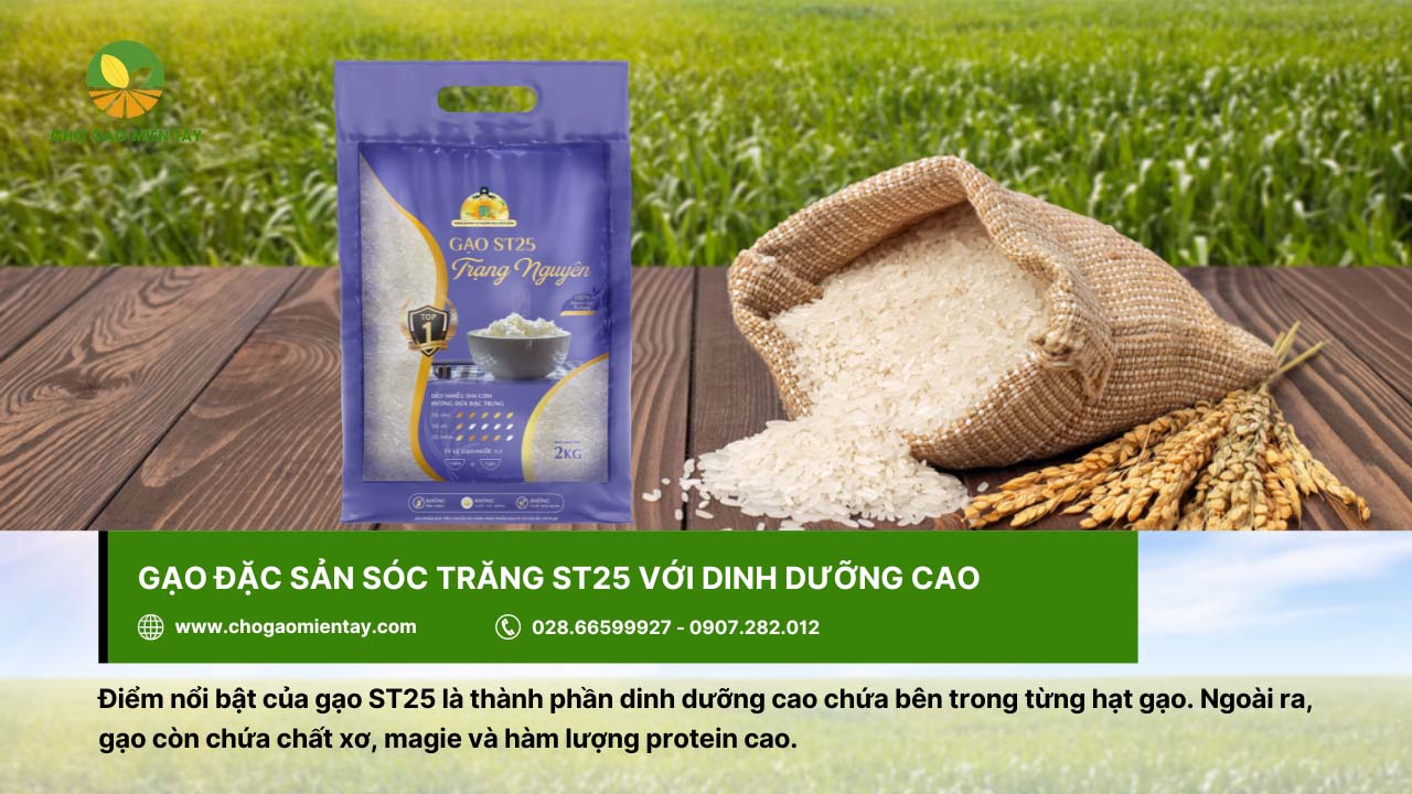 Gạo đặc sản Sóc Trăng ST25 có hàm lượng dinh dưỡng cao