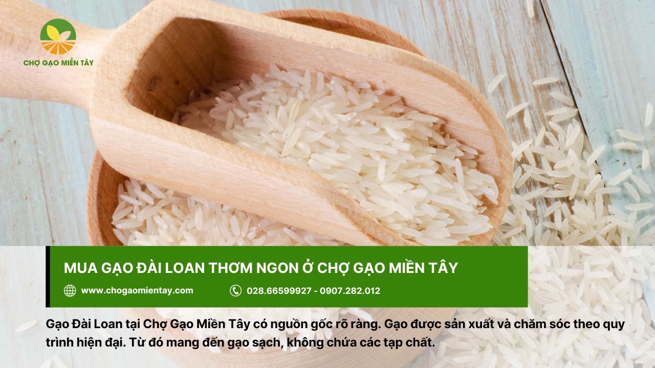 Mua gạo Đài Loan với giá thành cạnh tranh tại Chợ Gạo Miền Tây