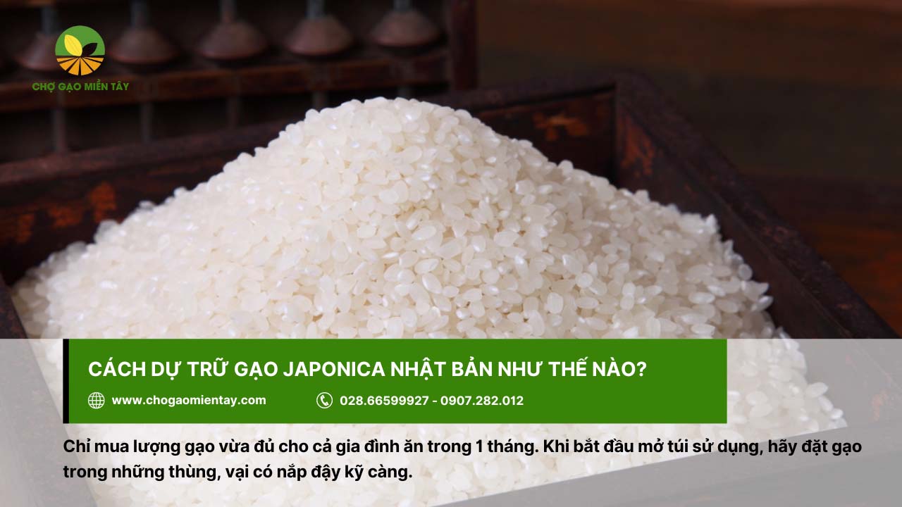 Nên mua gạo Japonica vừa đủ ăn 1 tháng cho các thành viên trong gia đình