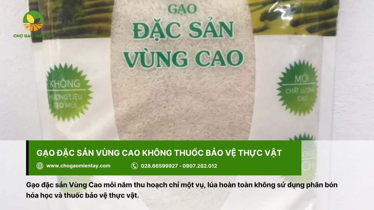Gạo đặc sản Vùng Cao không sử dụng thuốc bảo vệ thực vật