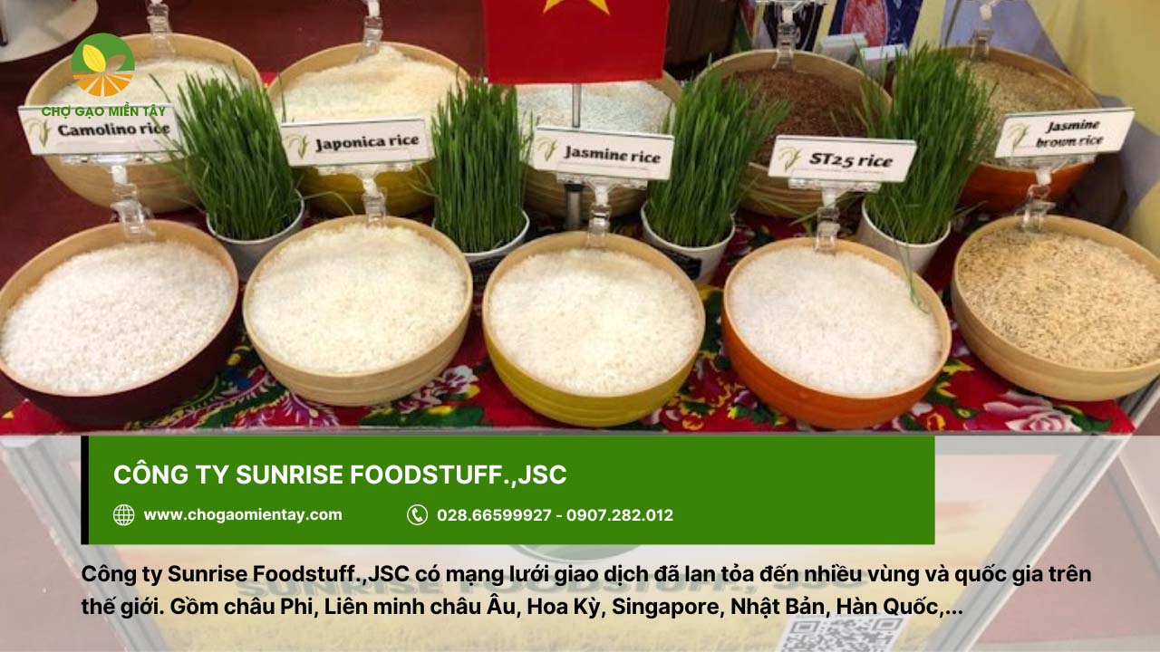 Sunrise Foodstuff.,JSC xuất khẩu lúa gạo ở nhiều thị trường trên thế giới